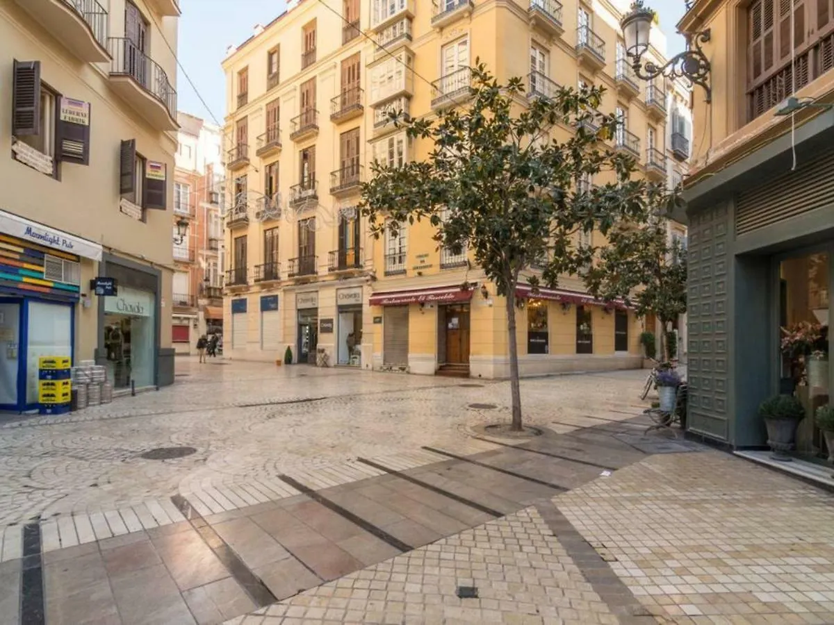 Apartment Larios Penthouse With Terrace And 2 Bedrooms Malaga